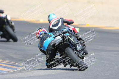 media/Mar-10-2024-SoCal Trackdays (Sun) [[6228d7c590]]/9-Turn 8 Backside (1150am)/